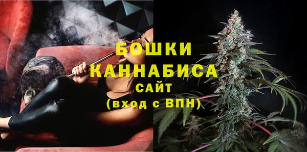 мдпв Верхний Тагил
