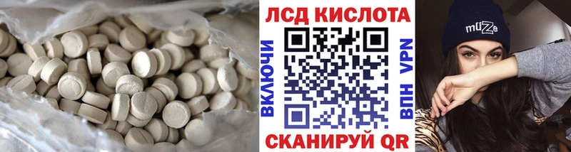купить закладку  Елизово  OMG   ЛСД экстази кислота 