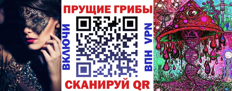 Псилоцибиновые грибы Cubensis  где продают наркотики  Елизово 