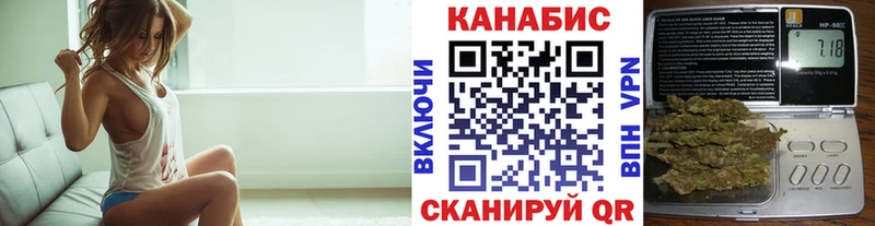 Марихуана сатива  закладки  Елизово 
